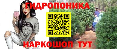 mdpv Лесосибирск