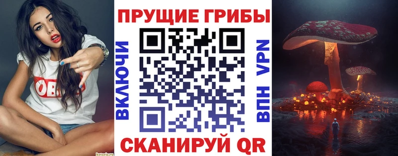 Галлюциногенные грибы Magic Shrooms  Ивантеевка 