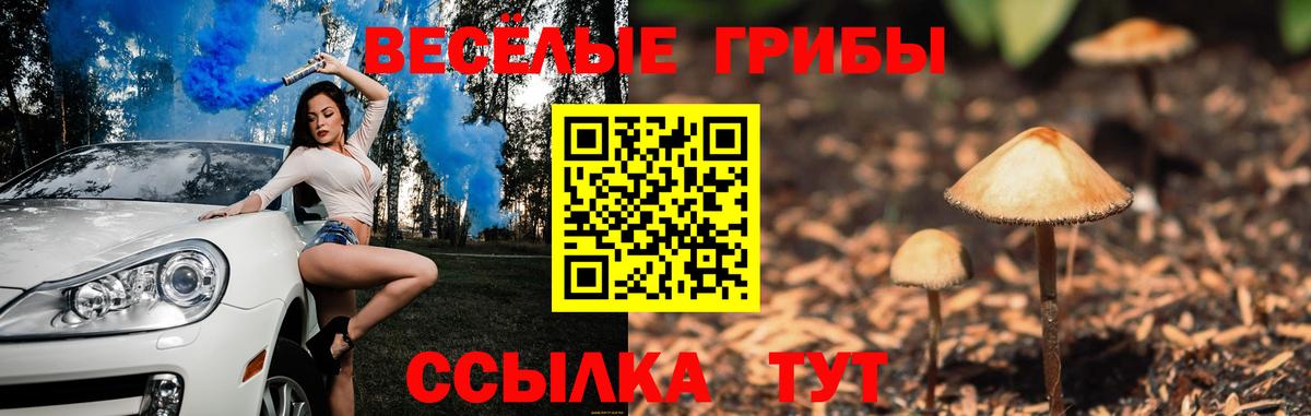 Галлюциногенные грибы мухоморы Ивантеевка